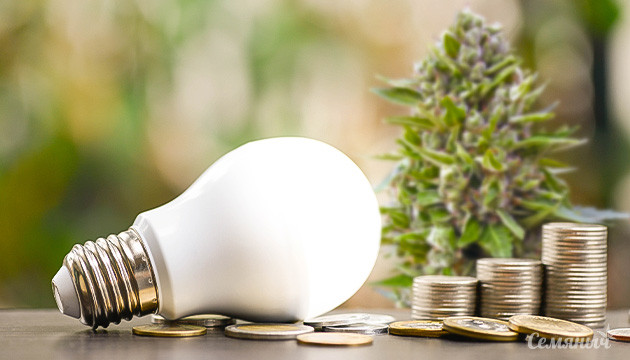 Индорный гровинг: преимущества и издержки Экономия электроэнергии при гровинге