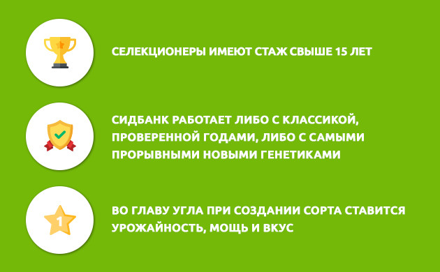 Новый сидбанк в магазине Семяныч Информация по Blimburn Seeds