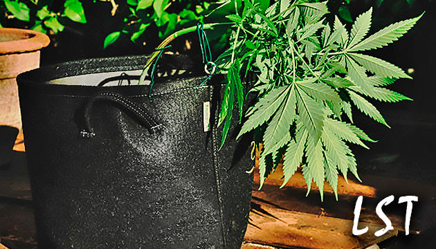 Использование техники LST LST техника