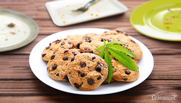 Как употреблять канна печеньки Конопляные печенья