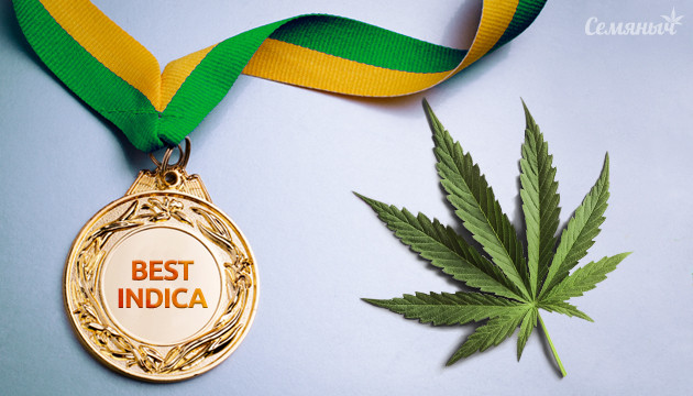 Подборка популярной Индики 2019 года Индика 2019