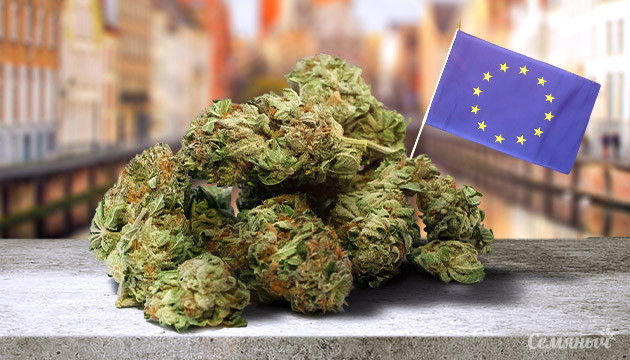 На сколько каннабис популярен в Европе Уровень употребления каннабиса в Европе