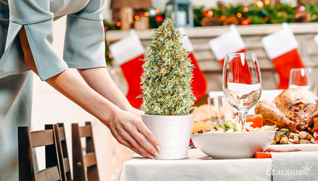 Праздничные угощения Праздничный стол и конопля