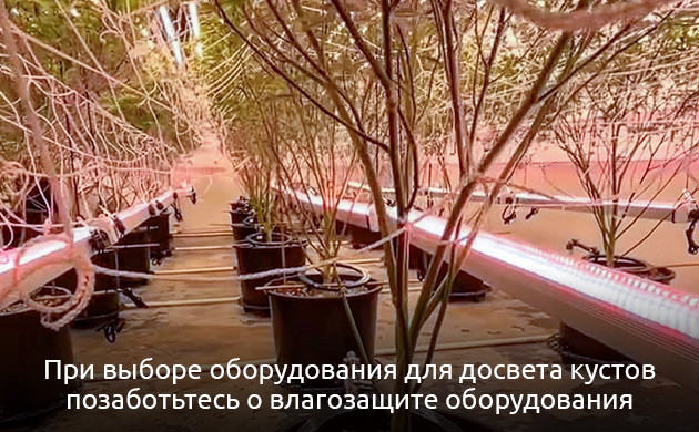 Нюансы установки дополнительного освещения Установка дополнительного освещения при выращивании каннабиса