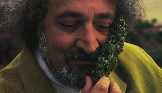 Борец за легализацию марихуаны Джек Херер Джек Херер