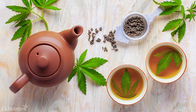 Чай из конопли Чай и конопля