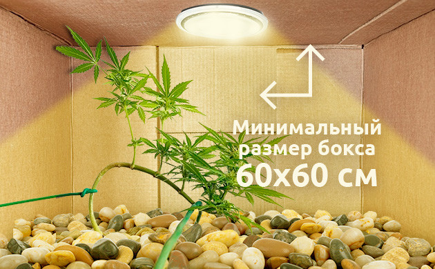 Максимальная высота бокса для конопли Максимальная размер гроубокса при микрогровинге