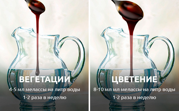 Меласса для корней каннабиса Меласса как корневая подкормка