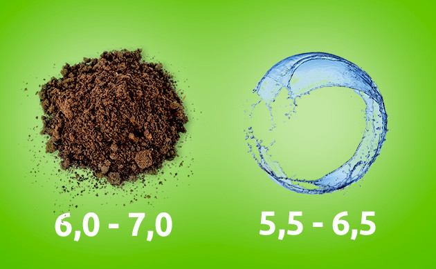 Уровень pH при выращивании pH и выращивание автоцветов