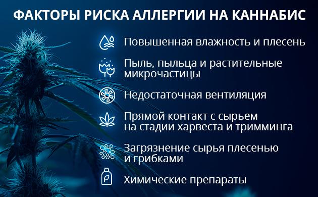 Триггеры усиливающие риск аллергических реакций у гроверов Факторы, усиливающие риск появления аллергии на каннабис