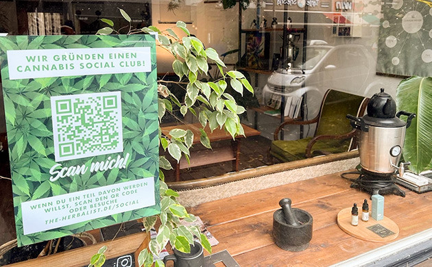 Каннабис-клубы в Германии: проблемы и перспективы Будущие проблемы социальных каннабис-клубов