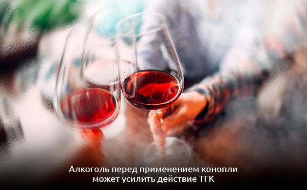 Сочетание вина и съедобных продуктов с каннабисом сочетание вина и съедобных продуктов с каннабисом