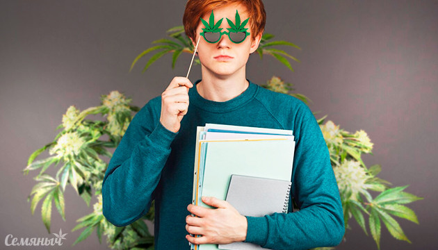 Профессии на канна-рынке Работа в канна индустрии