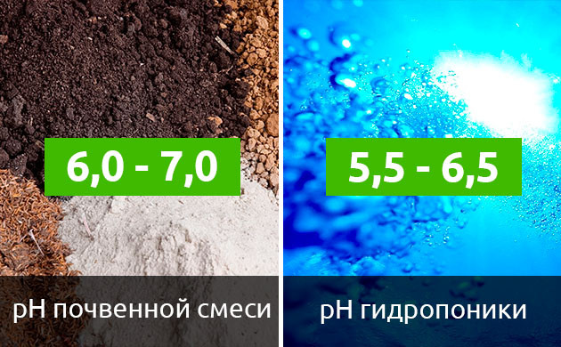 Уровень кислотности почвы для правильного цветения автоцветов Автоцветущие сорта марихуаны и кислотно-щелочной баланс