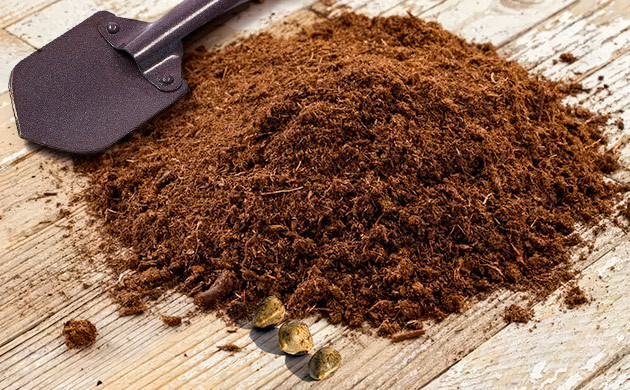 Как вырастить коноплю на торфе Как вырастить кусты марихуаны на торфе