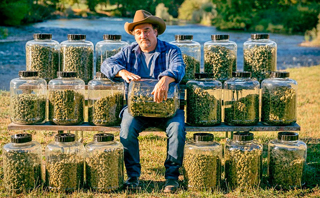 Урожай с фермы Джеймса Белуши Фермер Джеймс Белуши