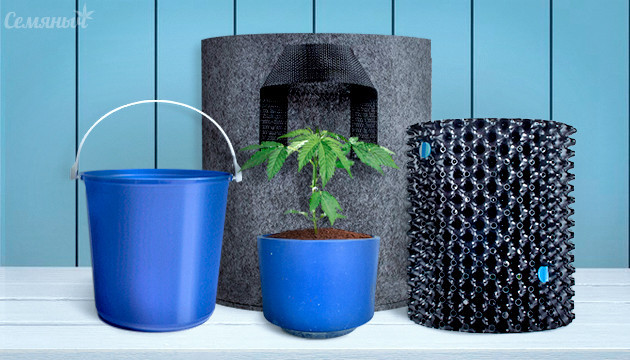 Выбор горшка для выращивания марихуаны