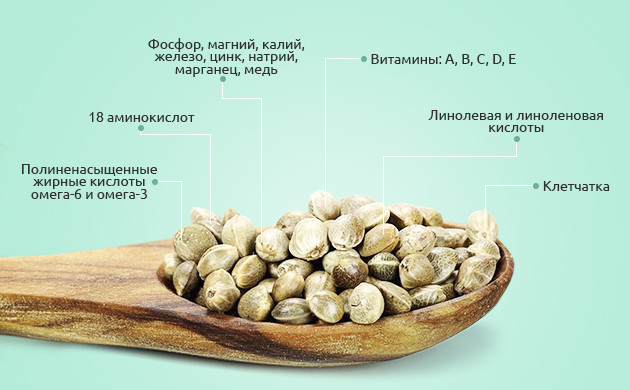Полезные питательные вещества семян конопли Химический состав семян каннабиса