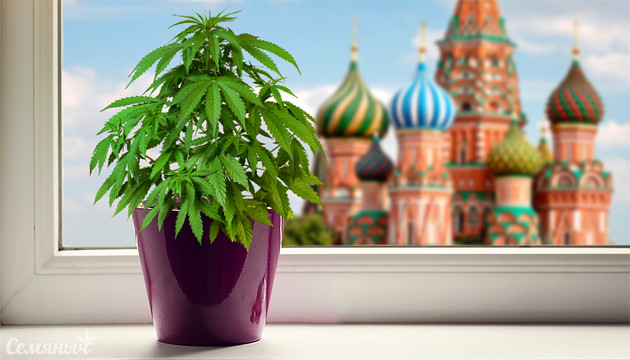 Как много конопли используют в Москве Марихуана в Москве