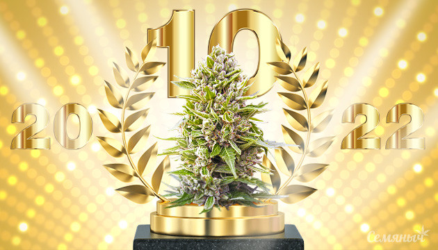 Топ 10 сортов года Лучшие сорта 2022 года