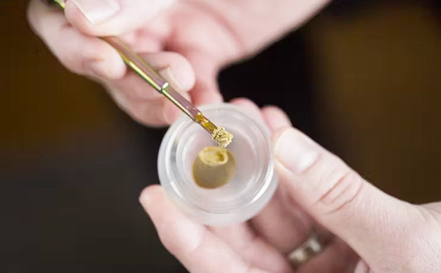 Суть и процесс даббинга