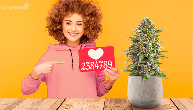 Любимые сорта наших покупателей Популярные сорта