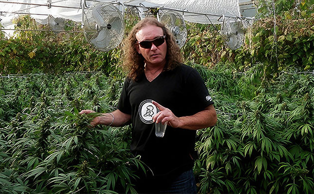 Арьяном Роскам - основатель Green House Seed Company White Widow и Green House Seed Company