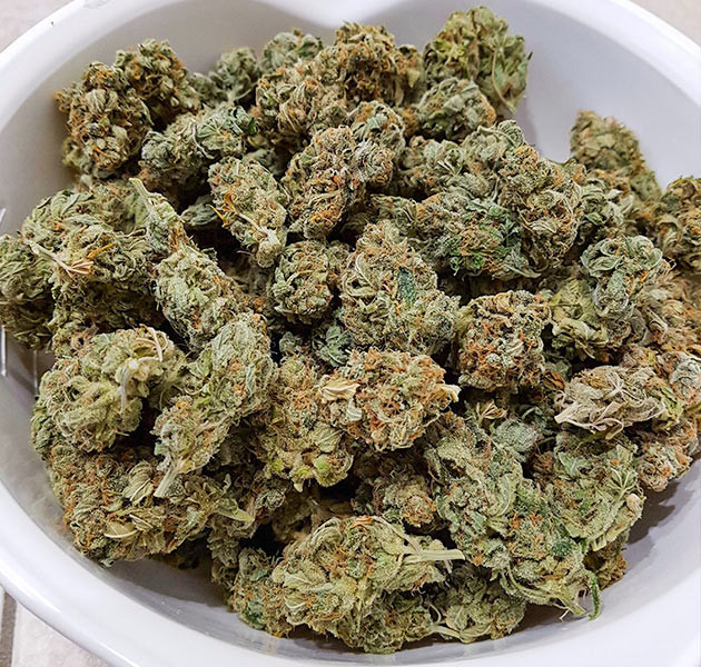 Сухие шишки конопли