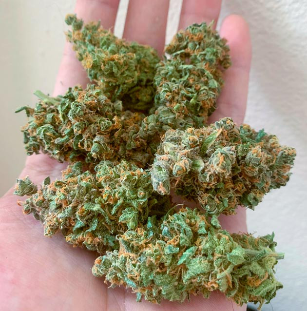 Сбор урожая и впечатления от гровера Харвест