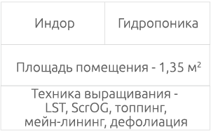 Выращивание в индоре Условия и техники выращивания