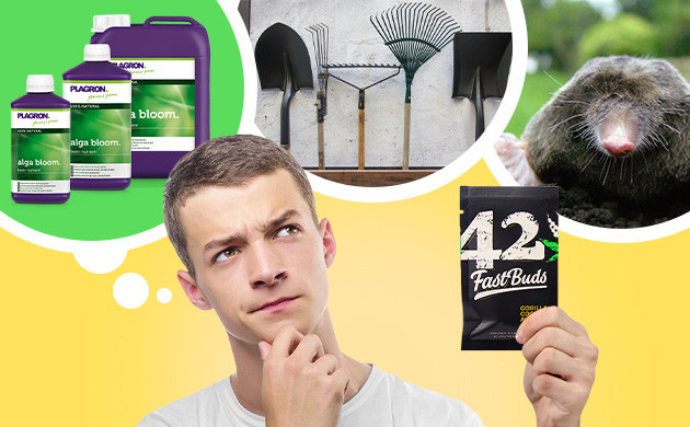 Финансовый расчет Траты по уходу за каннабисом