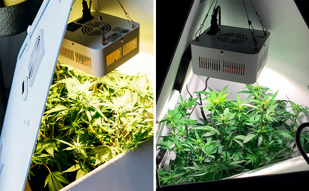 Внешний вид Leaflit Как выглядит Leaflit