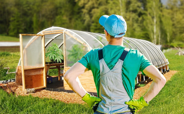 Простая теплица своими руками Каркас обтянутый плёнкой