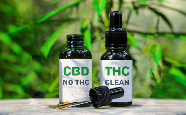 Разница между дистиллятами CBD и коноплей Дистилляты КБД и каннабис