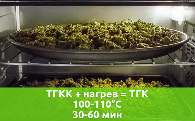 Декарбоксилирование конопли Ускоренная сушка соцветий в духовом шкафу