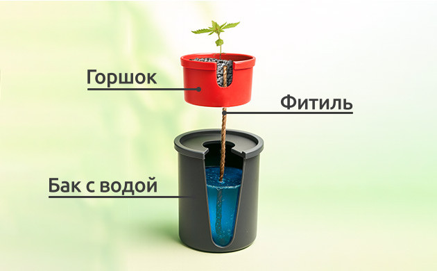 Простая система гидропоники без насосов Фитильная гидропоника
