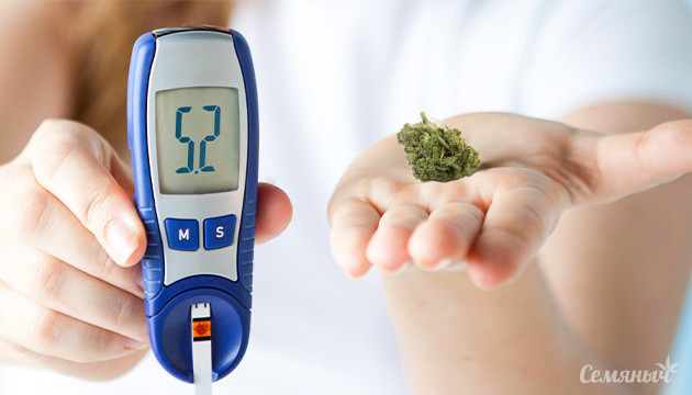 Комбинация ТГК и КБД для здоровья Комбинация ТГК и КБД контролирует уровень сахара в крови