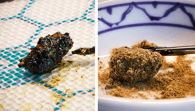 Соцветие в экстракте и в кифе Шишка в конопляном экстракте