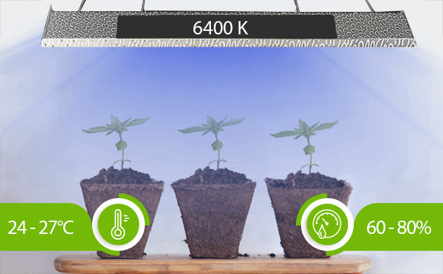 Условия климата для рассады Оптимальные значения температуры и влажности