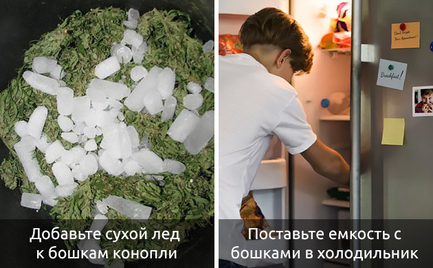Использование сухого льда для сушки бошек конопли Сухой лед и сушка каннабиса