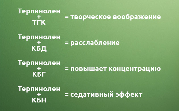 Комбинации терпинолена с каннабиноидами Терпинолен и каннабиноиды: синергия
