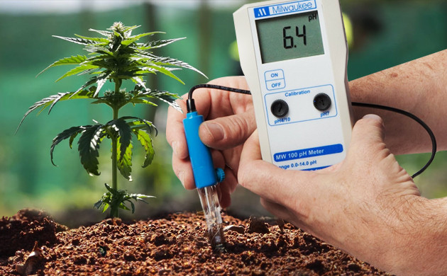 Проверка уровня pH pH почвы для конопли