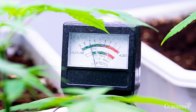 pH для успешного выращивания конопли Как правильно контролировать уровень pH