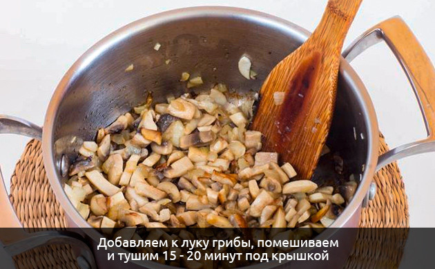 Грибы для супа с коноплей Конопляный суп