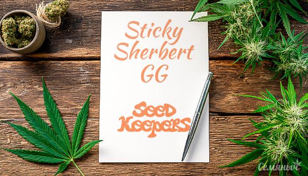 Выращивание сорта марихуаны Sticky Sherbert GG от Seedkeepers Гроурепорт сорта Sticky Sherbert GG от Seedkeepers