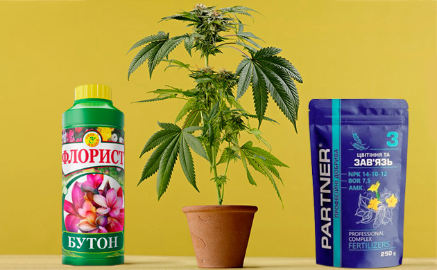 Стимуляторы цветения каннабиса Стимуляторы Бутон и Завязь