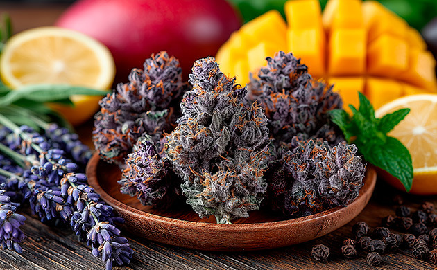 Вкус и аромат Purple Kush