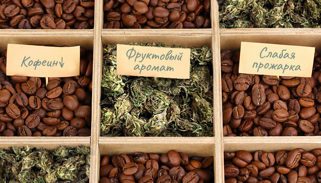 Правильное сочетание кофе и каннабиса Сочетание кофе и марихуаны