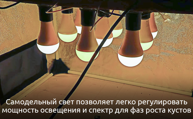Простой способ сборки фитолампы из бытовых ламп Экономный вариант освещения для гроубокса