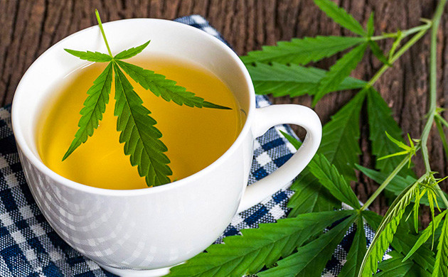 Приготовление конопляного чая Чай из конопли